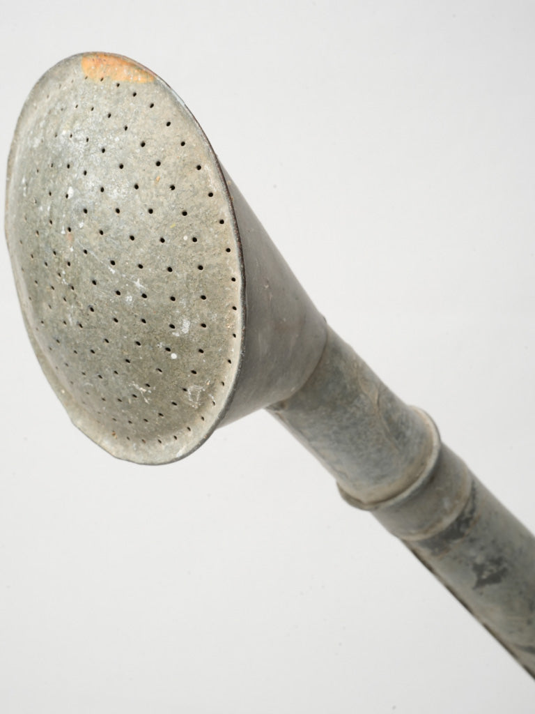Weathered decorative watering can  