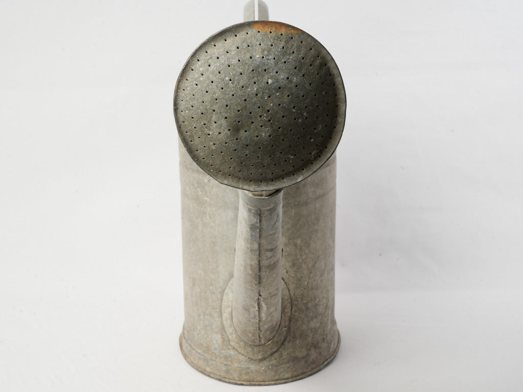 Distinctive design metal garden accessory  