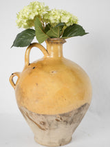 Rare 18th-century vibrant pottery water jug