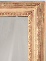 Charming gold-tone traditional rectangular mirror