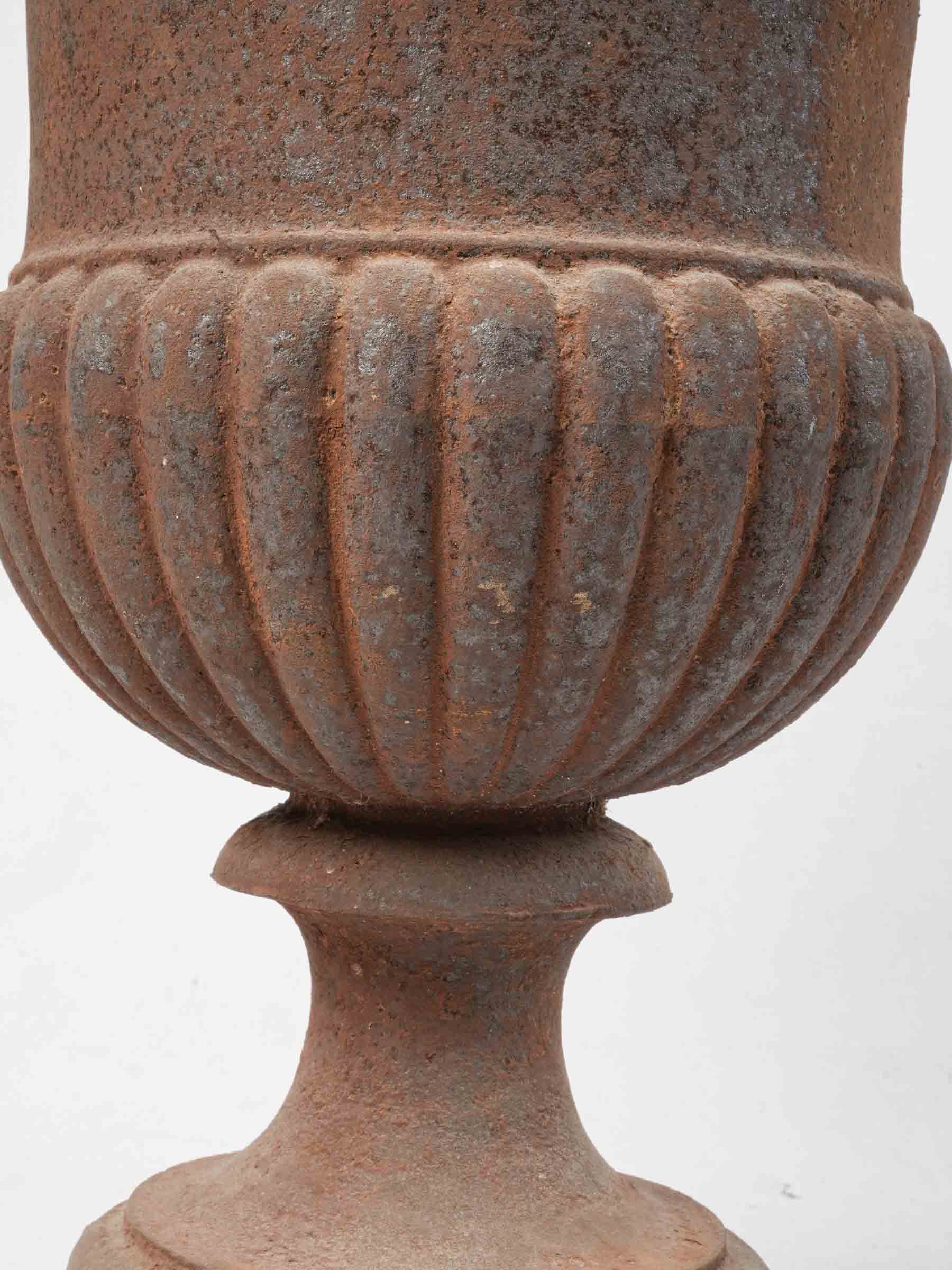 Remarkable Pair of Large French Cast-Iron Medici Urns From the Early 19th Century - 26"