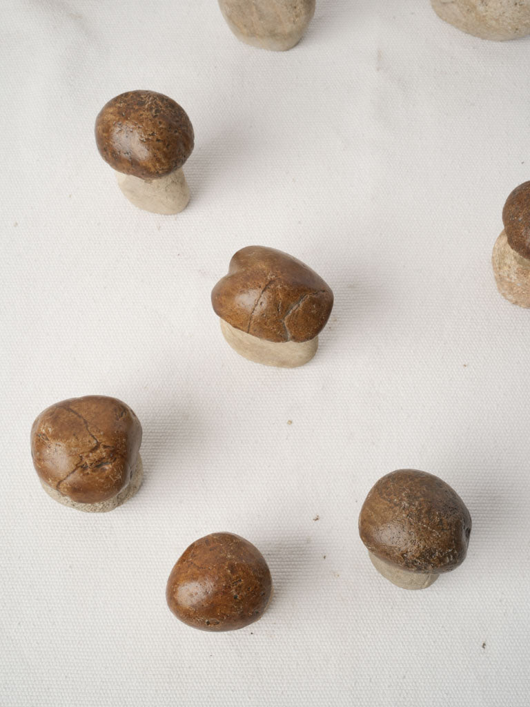 Satin sheen mushroom finish  