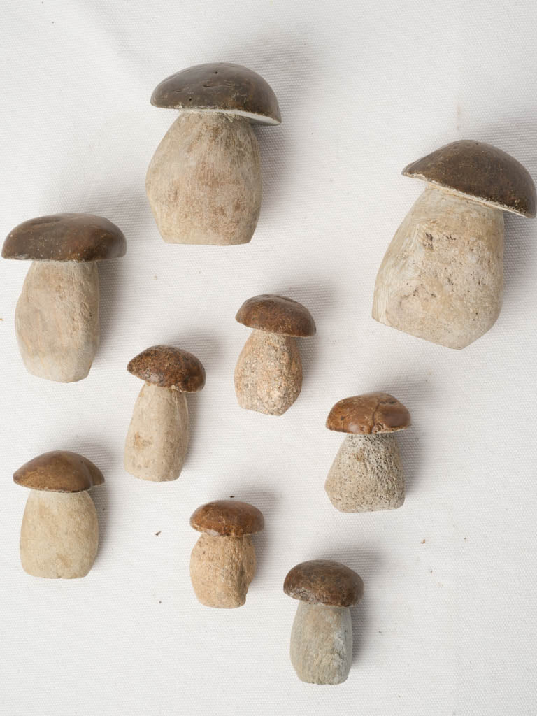 Playful paperweight mushrooms  