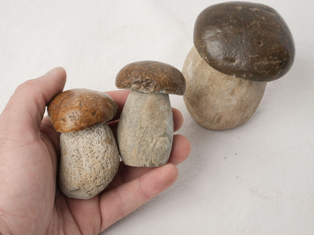 Simple cottage interior decor  