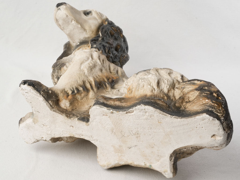 Elegant aged spaniel model