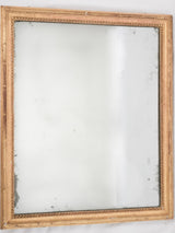 Elegant aged mercury rectangle mirror