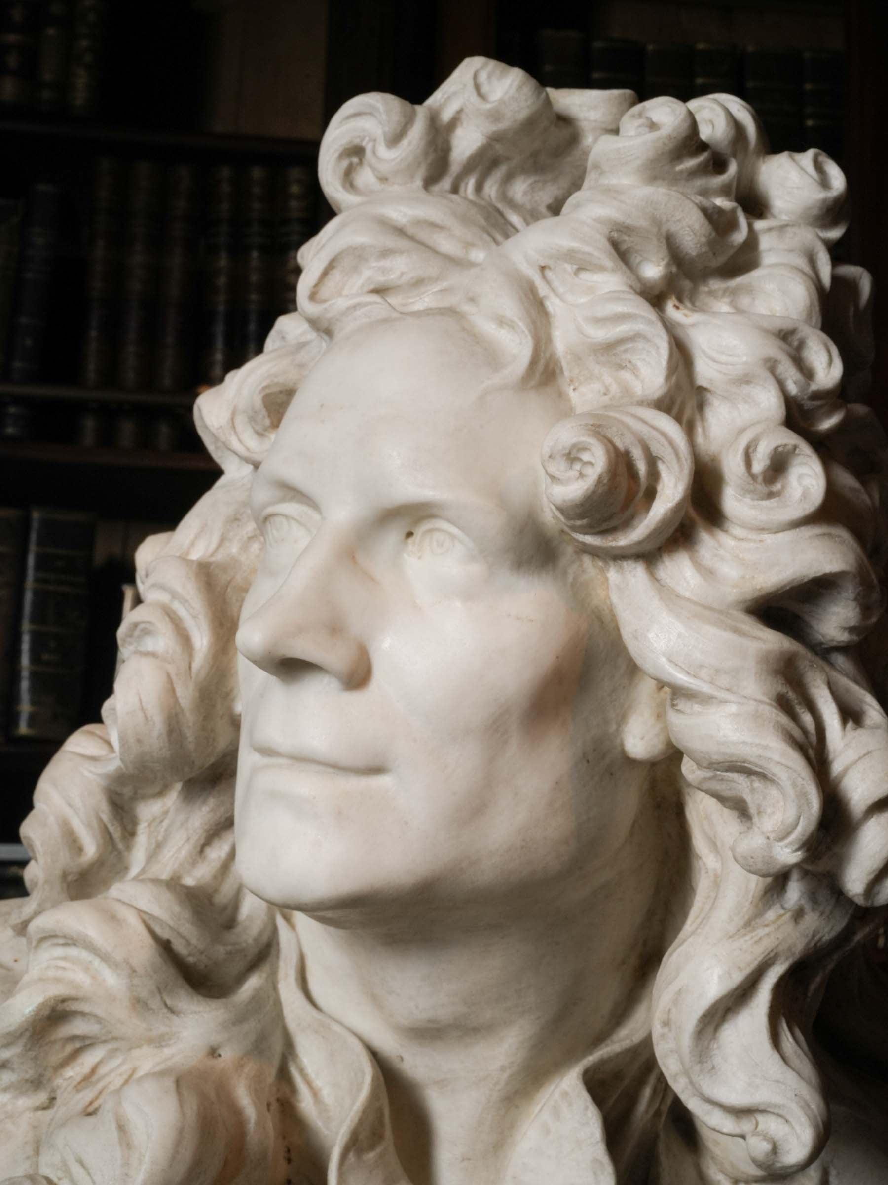 Exceptional Carrara Marble Bust of Van Cleve after Jean-Jacques Caffieri, Late 19th Century - 28¼"