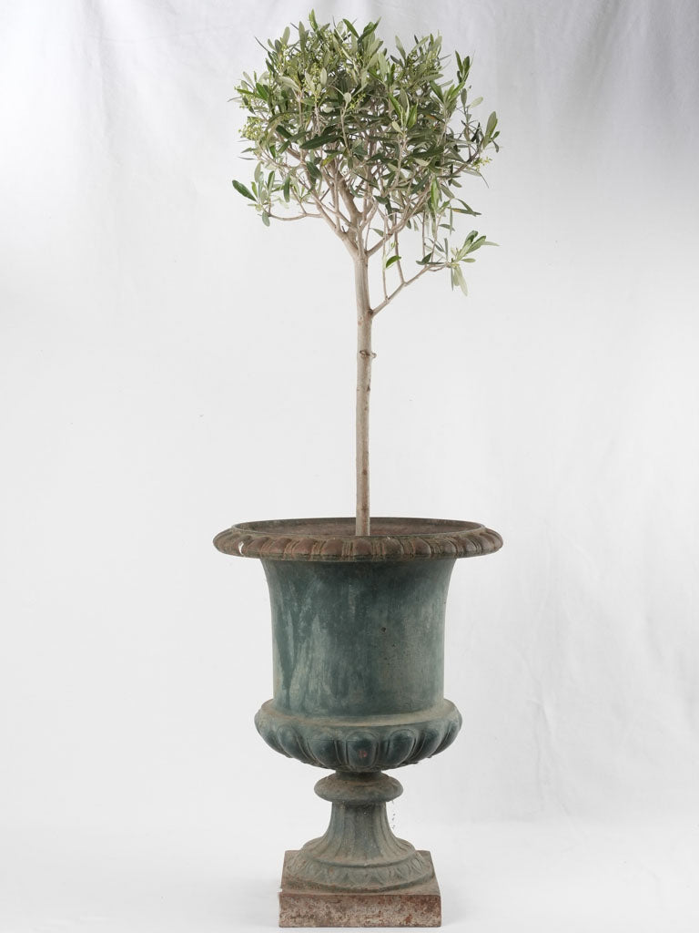 19th century Medici urn w/ green patina 21¾"