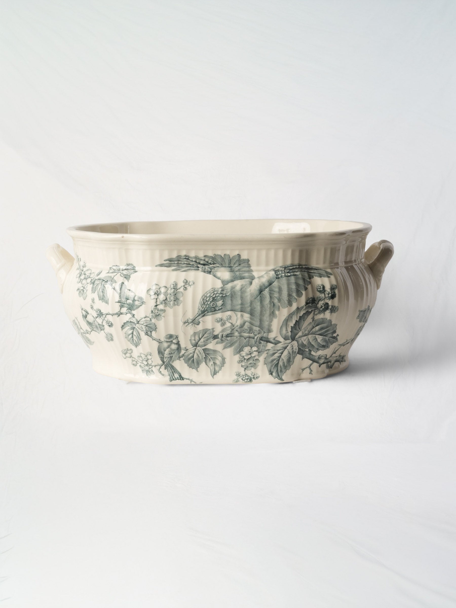 Antique English Ironstone Foot Bath w/ Naturalistic Bird-and-Bramble Motif - 20½"