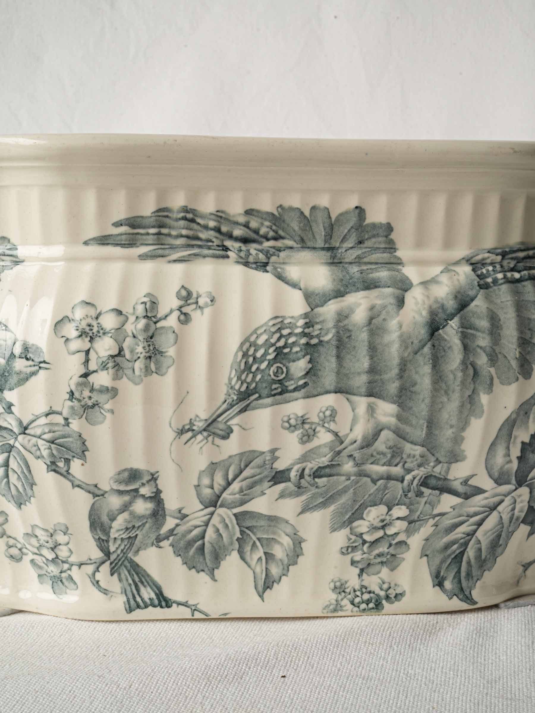 Antique English Ironstone Foot Bath w/ Naturalistic Bird-and-Bramble Motif - 20½"
