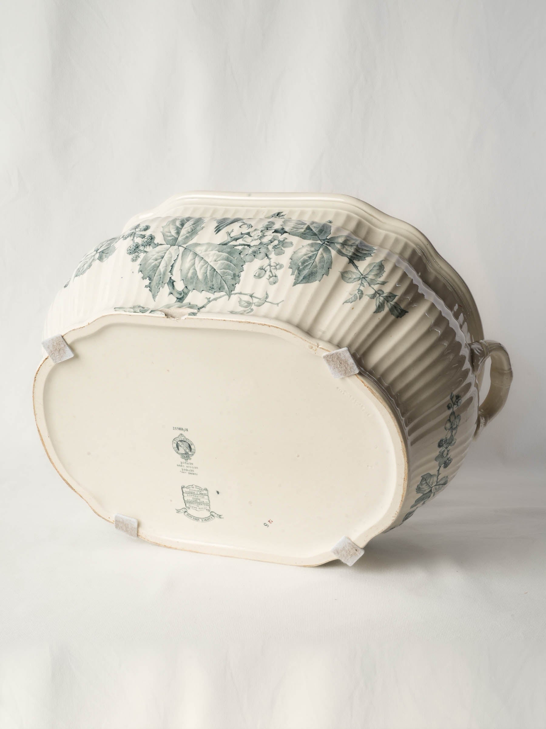 Antique English Ironstone Foot Bath w/ Naturalistic Bird-and-Bramble Motif - 20½"