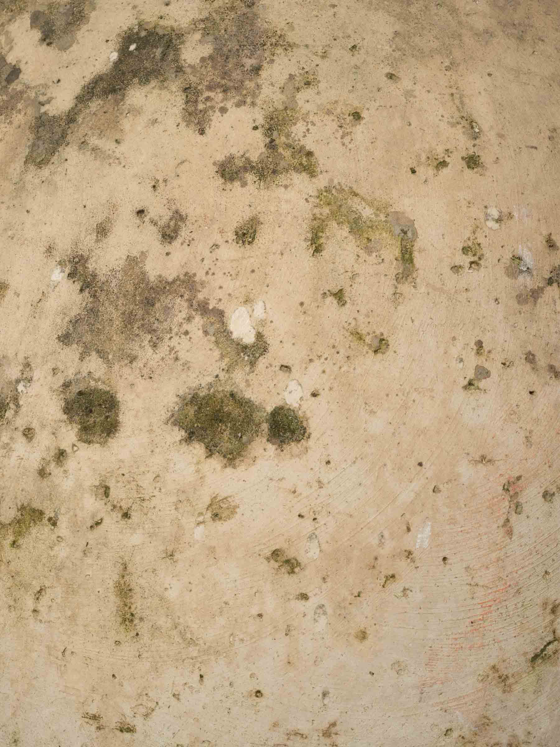 Warm stone-toned Biot container  