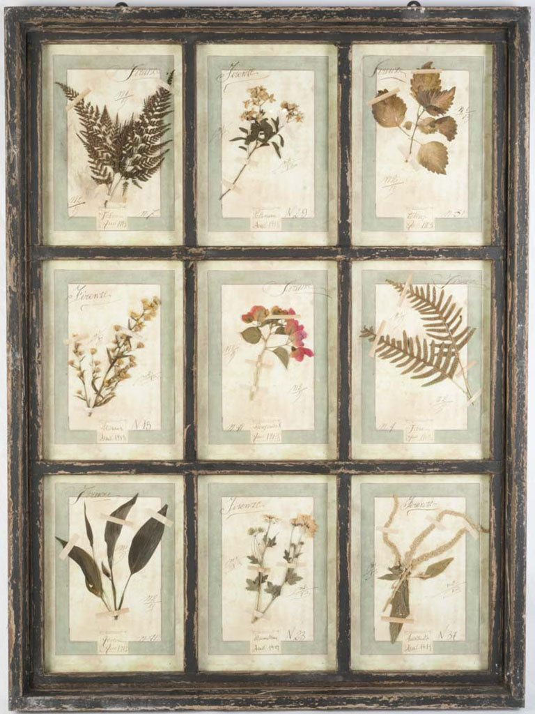 Antique-style decorative herbarium panel  