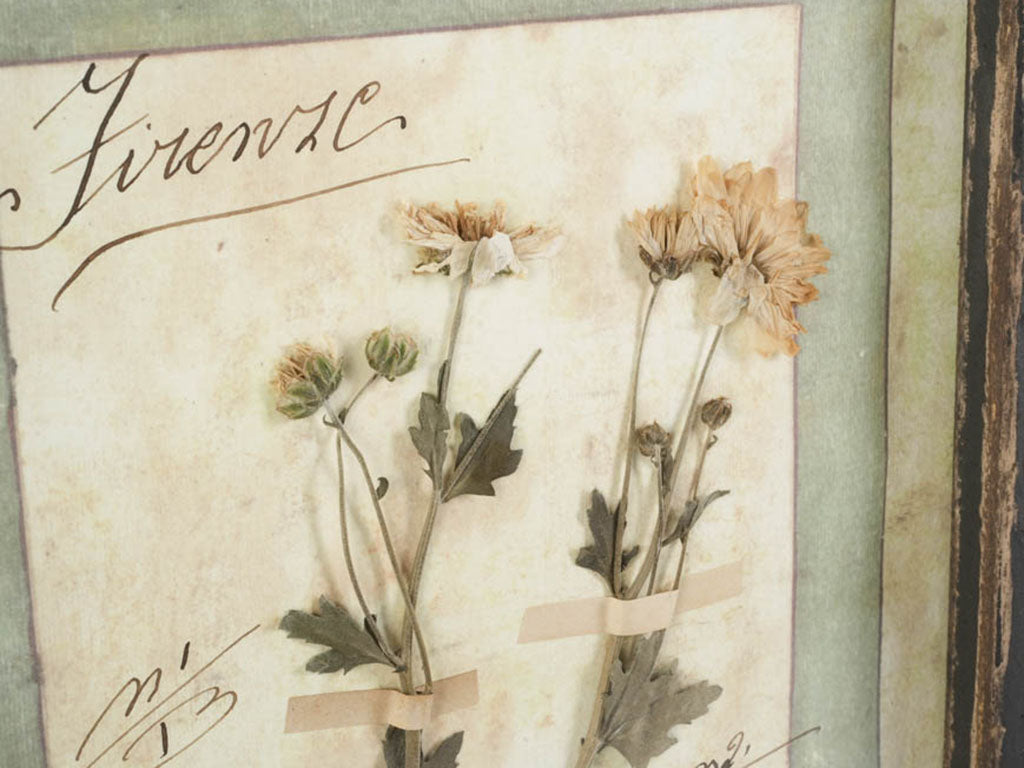 Fictive-dated 1913 Italian herbarium  