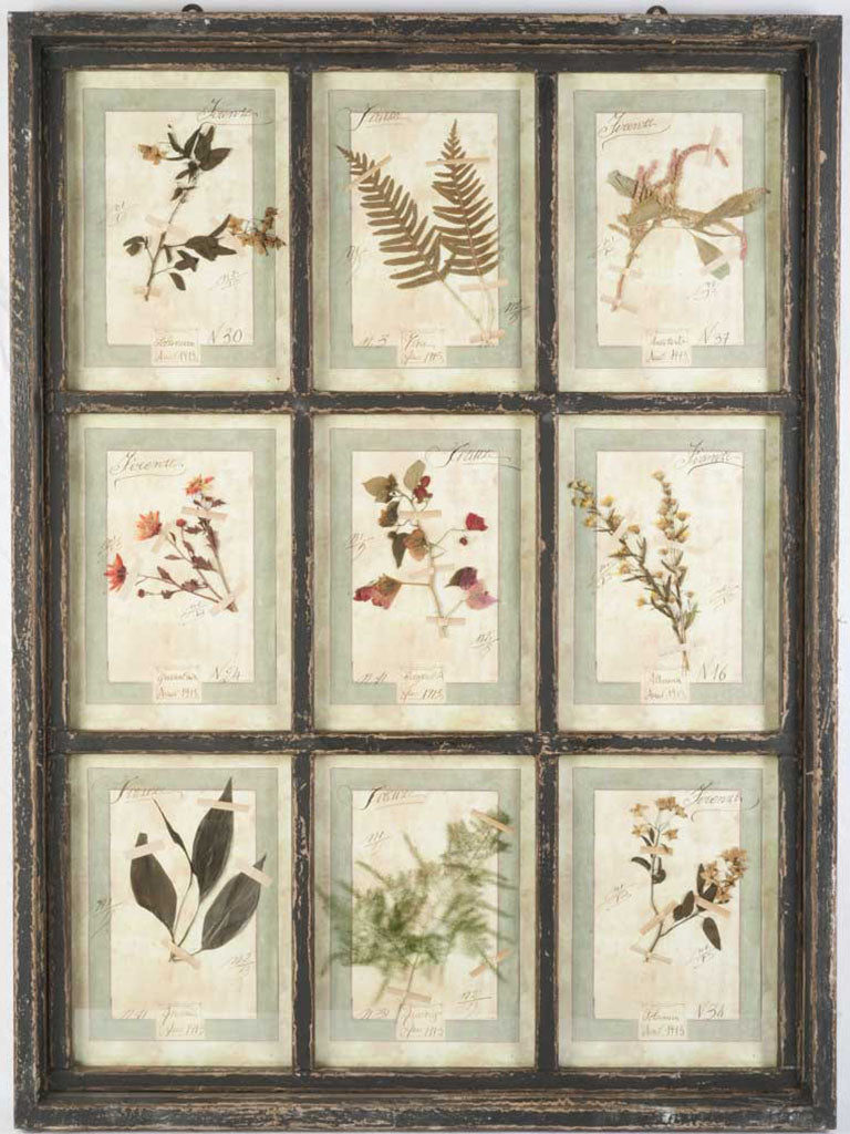 Antique-style decorative herbarium panel  