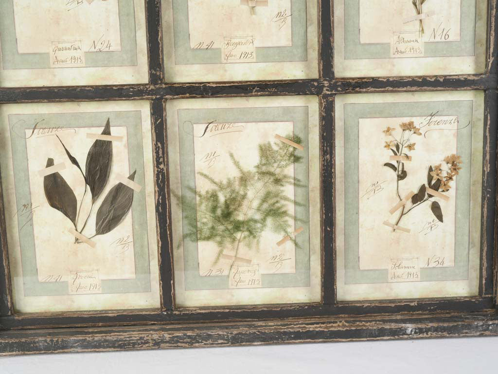 Sepia-toned decorative plant composition  