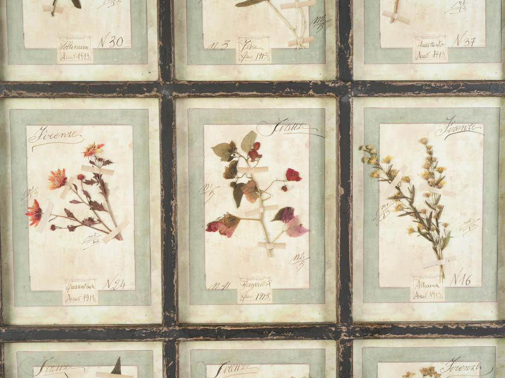 Muted floral hues botanical art  