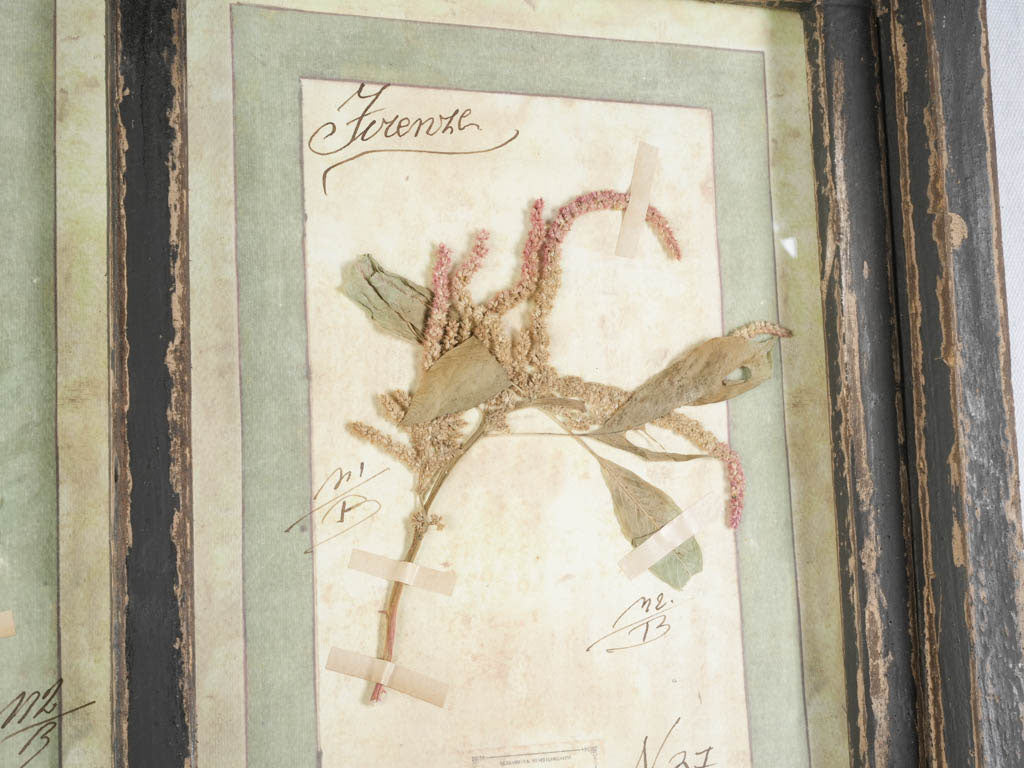 Fictive 1913 botanical grid panel  