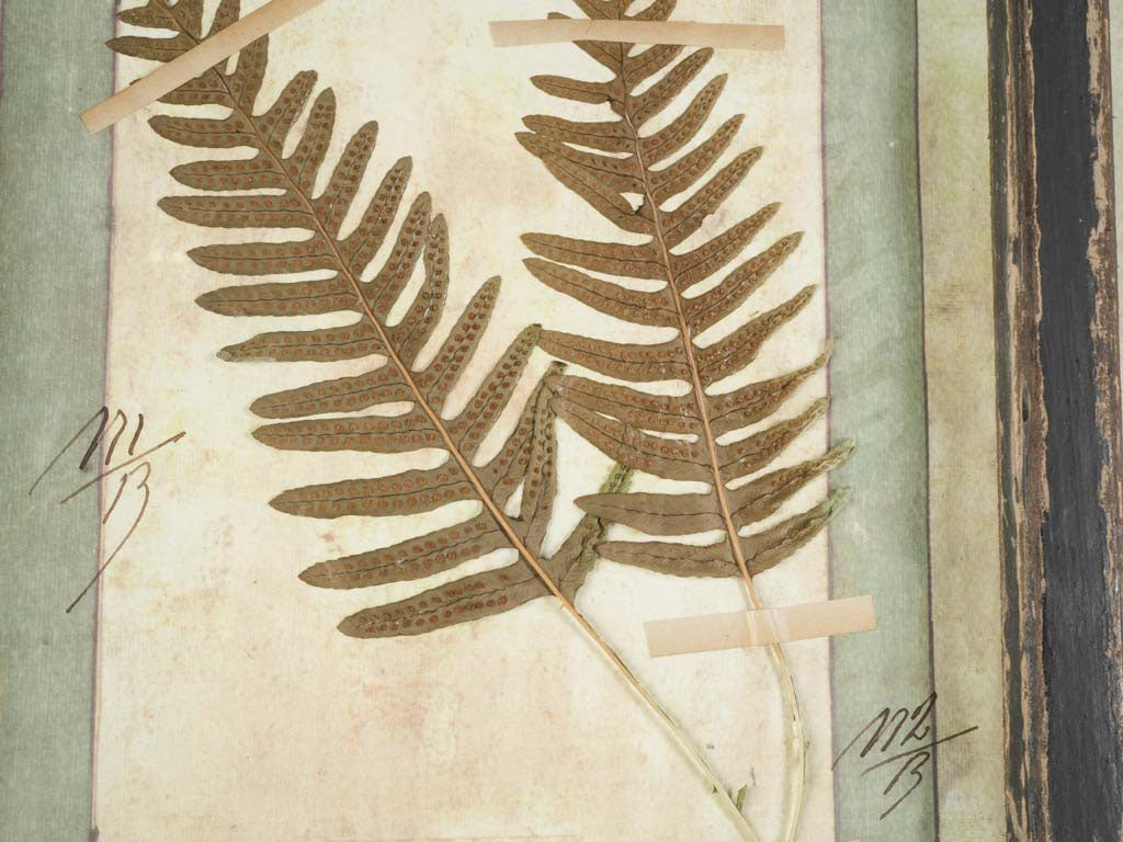 Distressed finish pressed plant artwork  