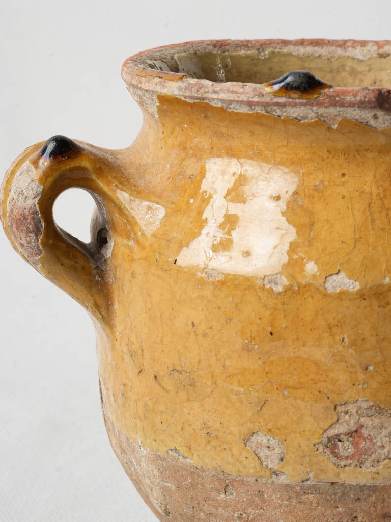 Sculptural Handled Artisan Pot  