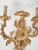 Nineteenth-century Louis XV lighting fixtures