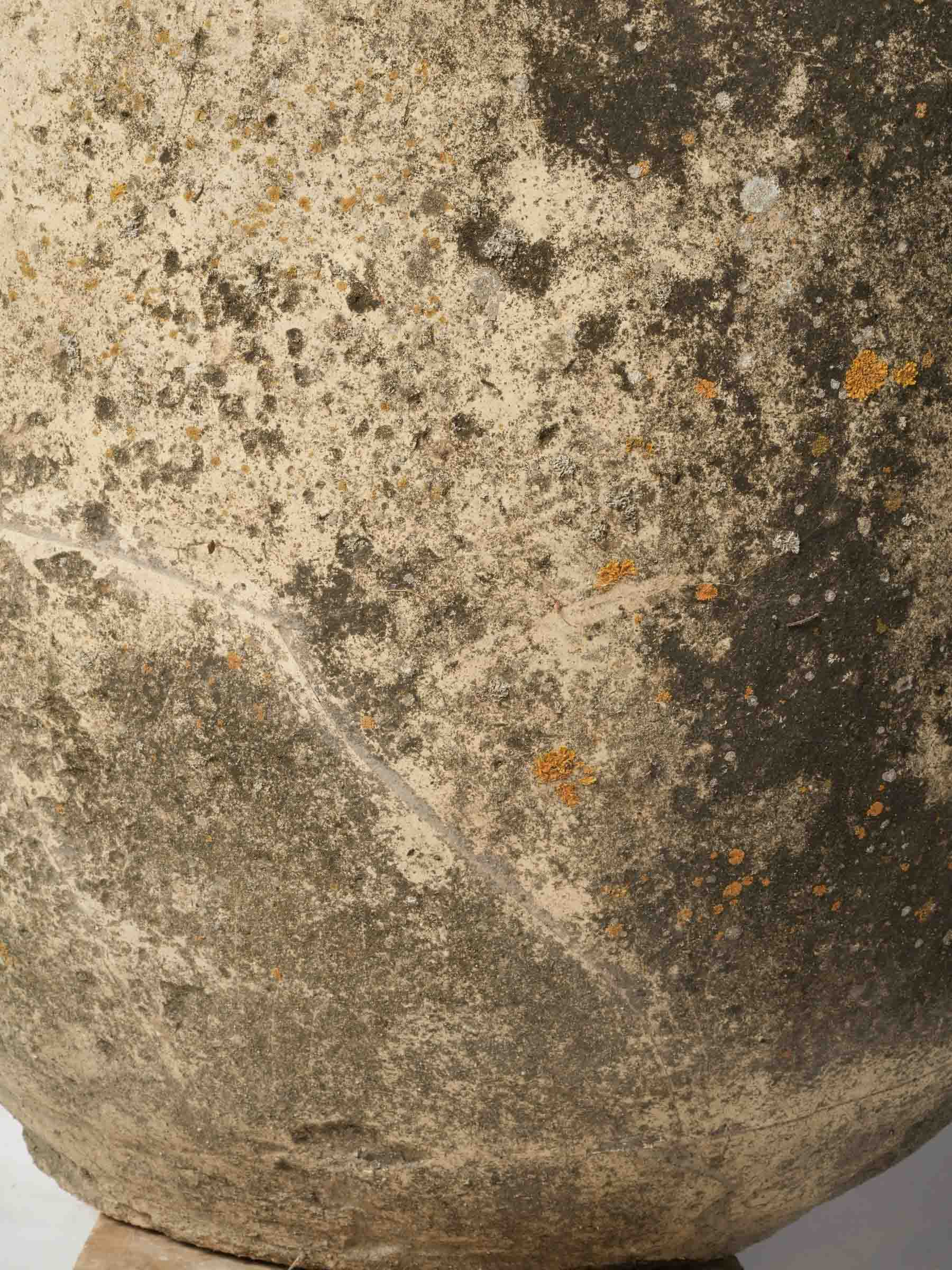 Textured lichen-marked antique jar  