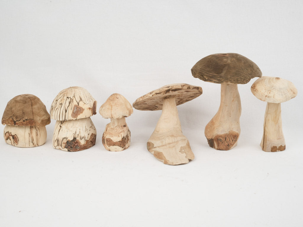 Organic Wooden Mushroom Collection