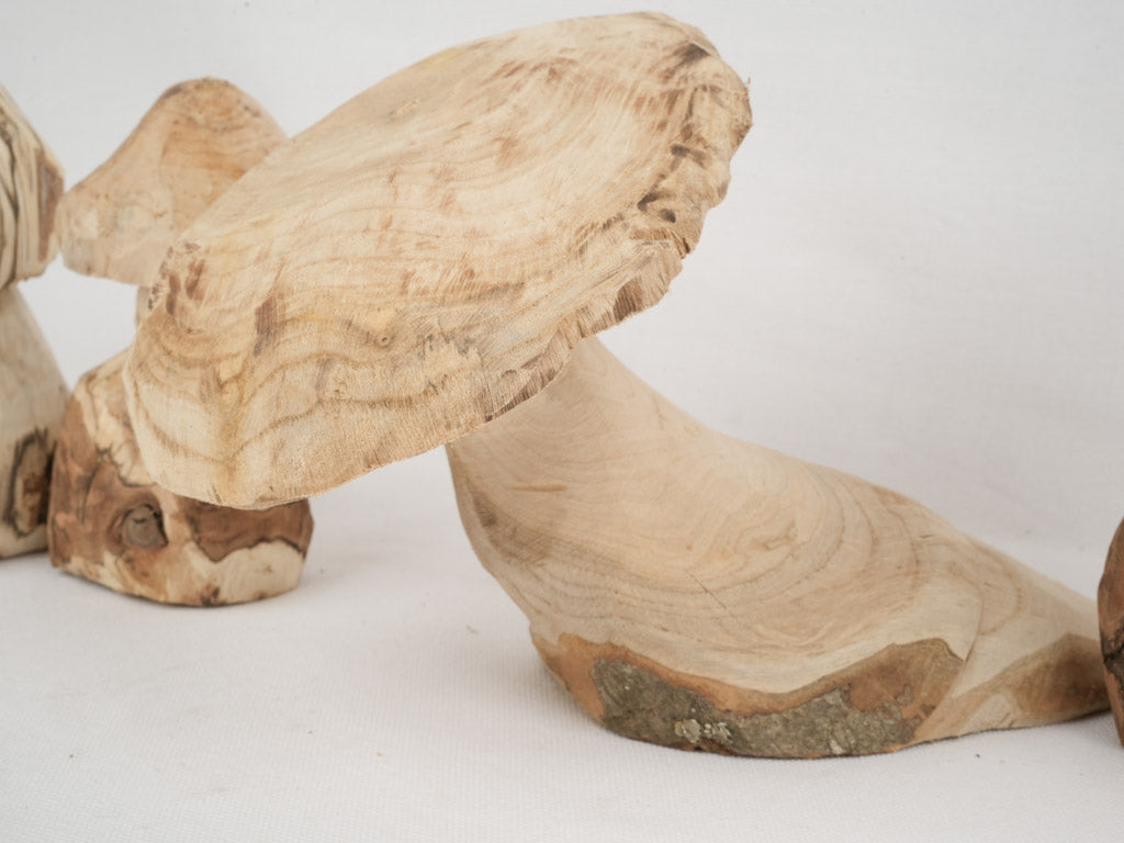 Artistic Wooden Mushroom Ensemble