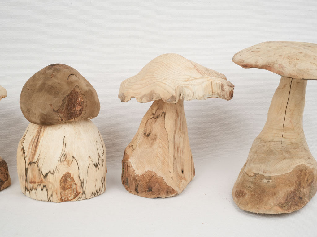 Exquisite Wooden Mushroom Collection