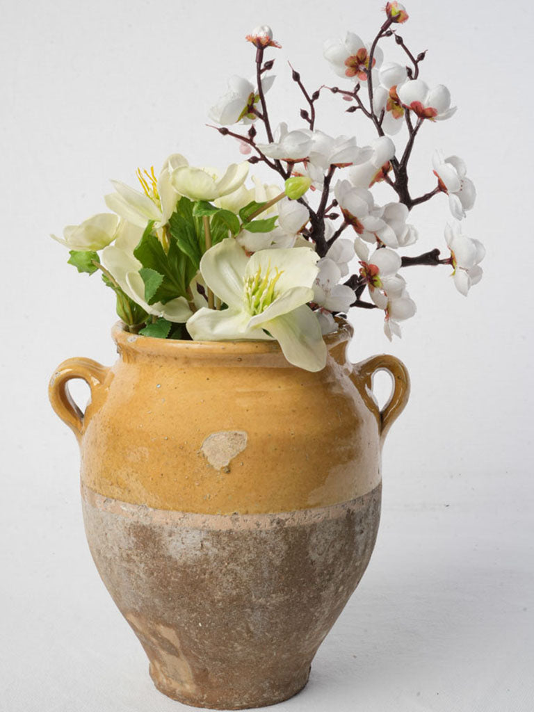 Early Twentieth Century Honey Glazed Confit Pot - 8¾"