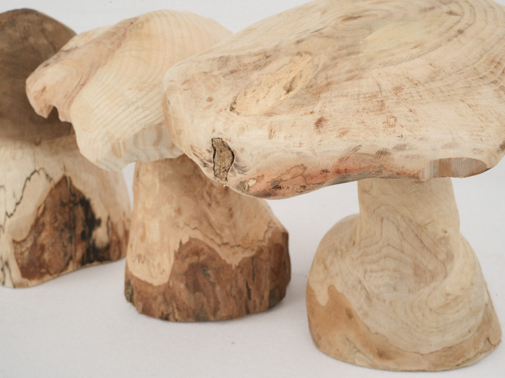 Whimsical Wooden Mushroom Collection
