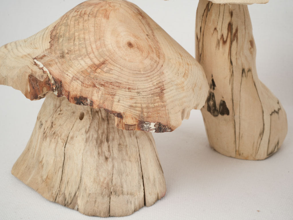 Artistic Hand-carved Wood Mushroom Collection