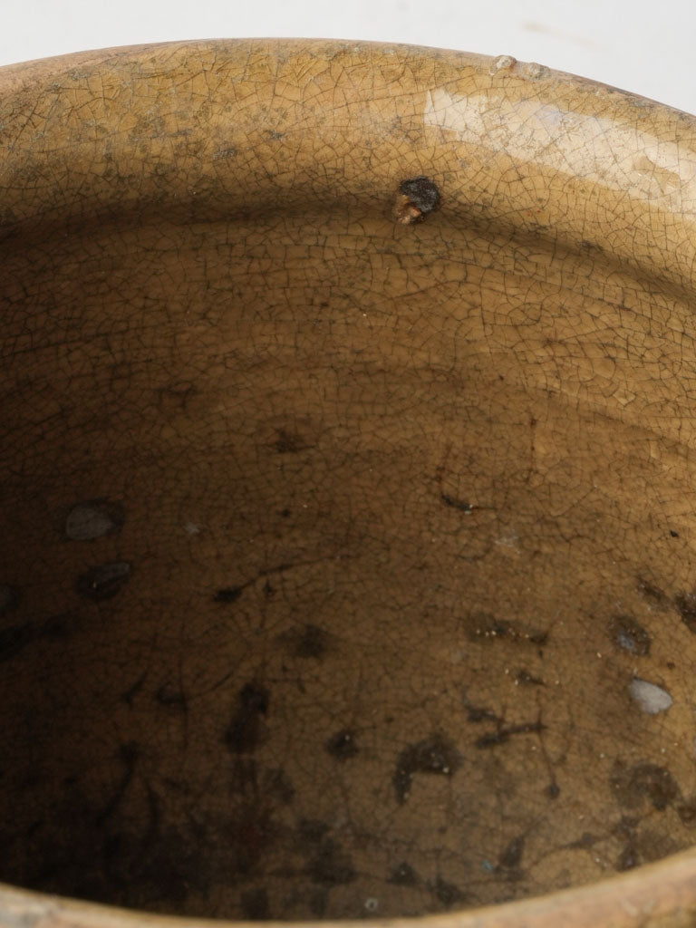 Decorative timeless artifact  