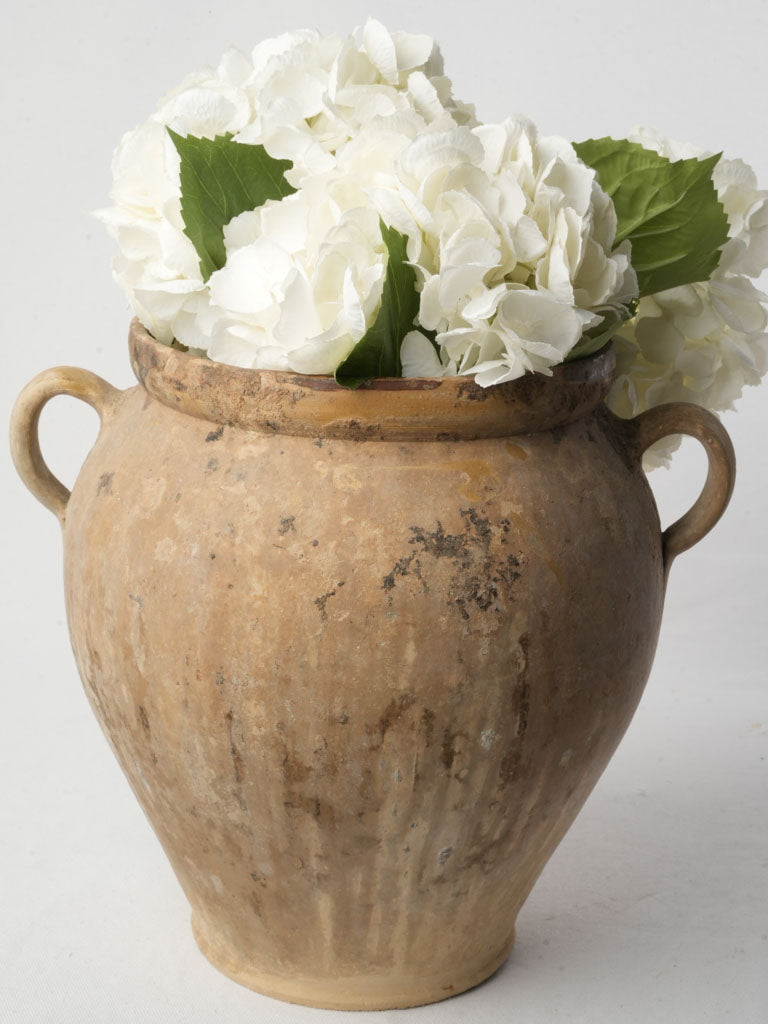 Rustic large terracotta confit jar  