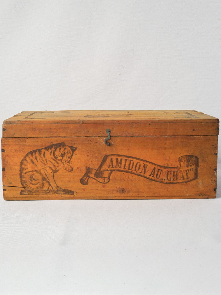 Playful cat vignette box  