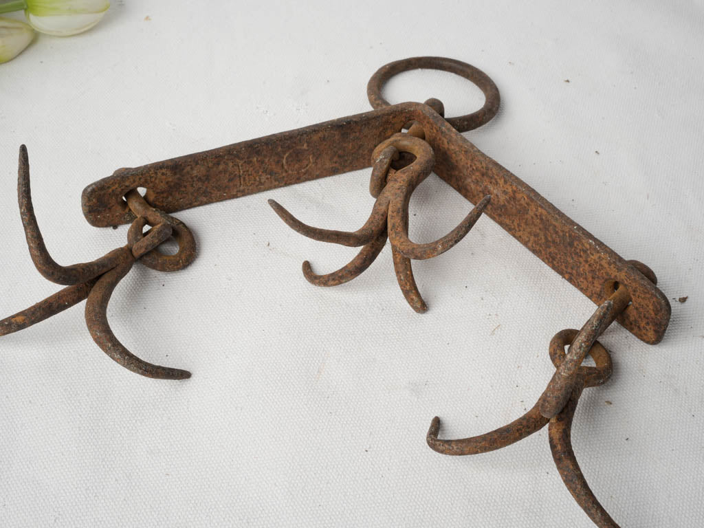 Weathered Iron Entryway Hook Set  