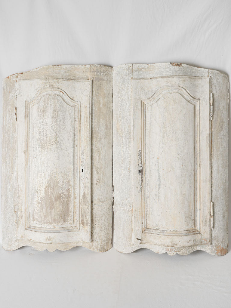 Antique Provençal wood boiserie door panels