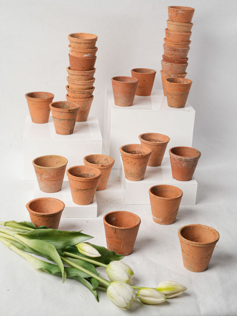Vintage rustic terracotta garden pots