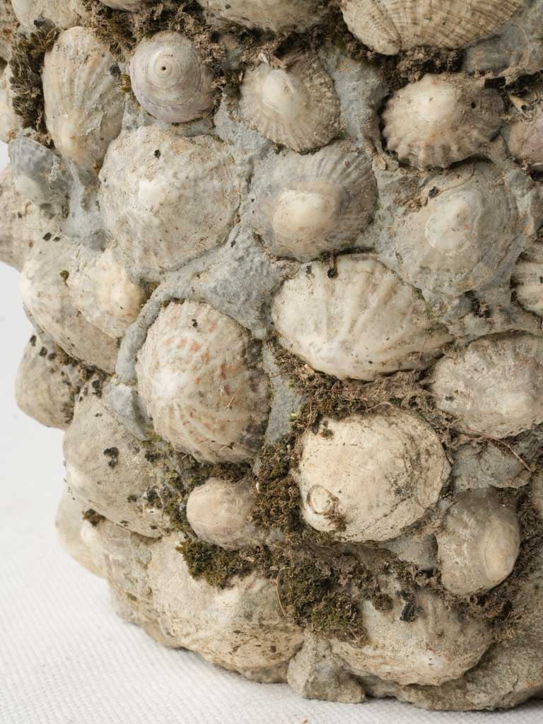 Decorative tactile shell planter  