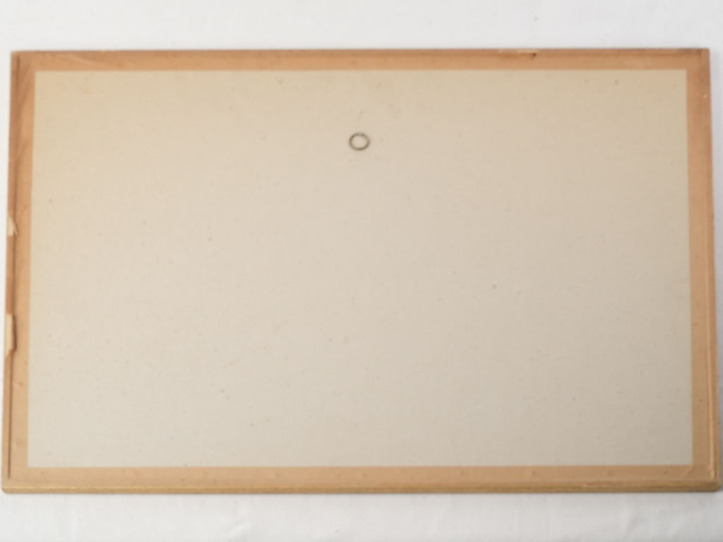 Vibrant print on wove paper by P. Ambrogiani -numbered 1 of 30 - 20¾" x 27½"