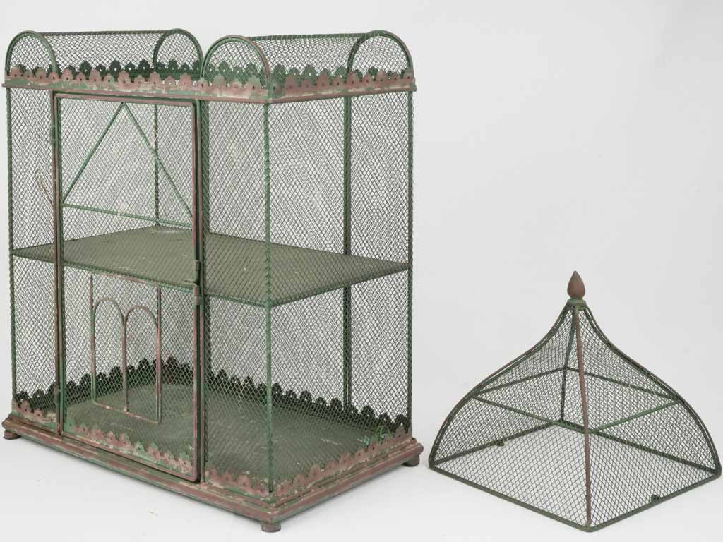 Whimsical Plant Display Birdcage