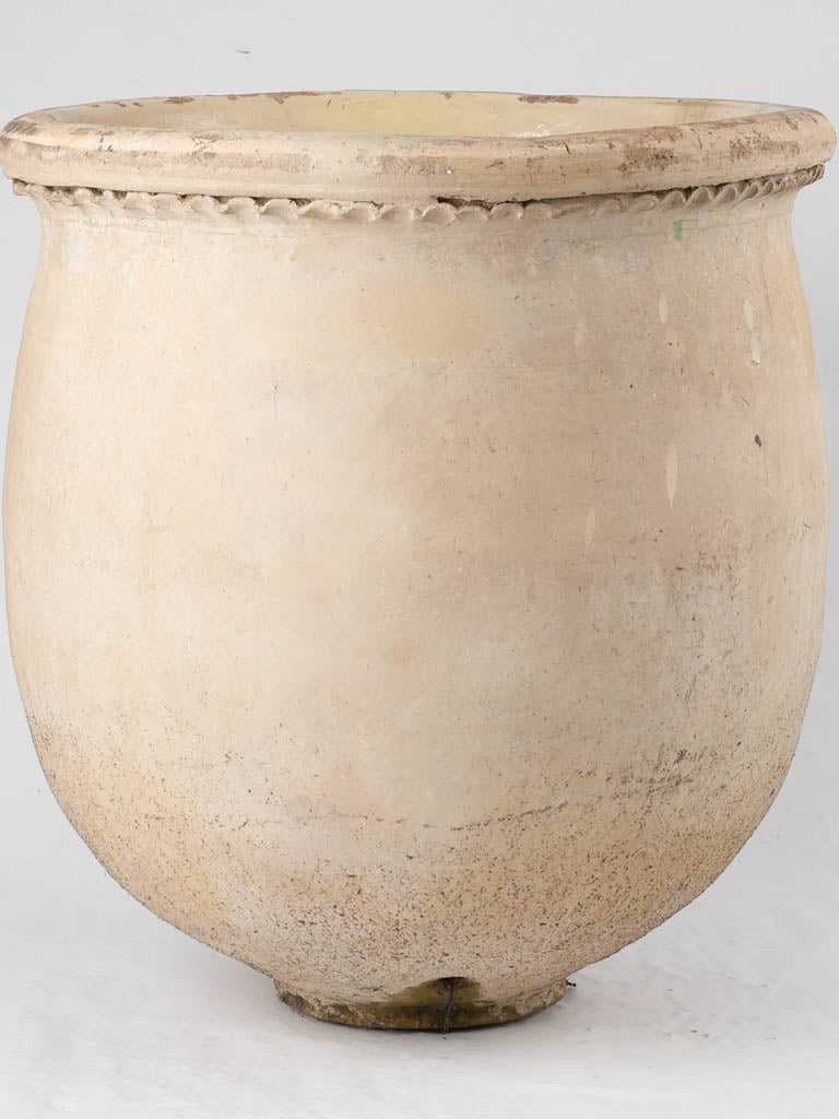 Nineteenth-century Biot patterned garden pot