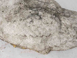 Large early 20th century garden sculpture of a swan 33½"