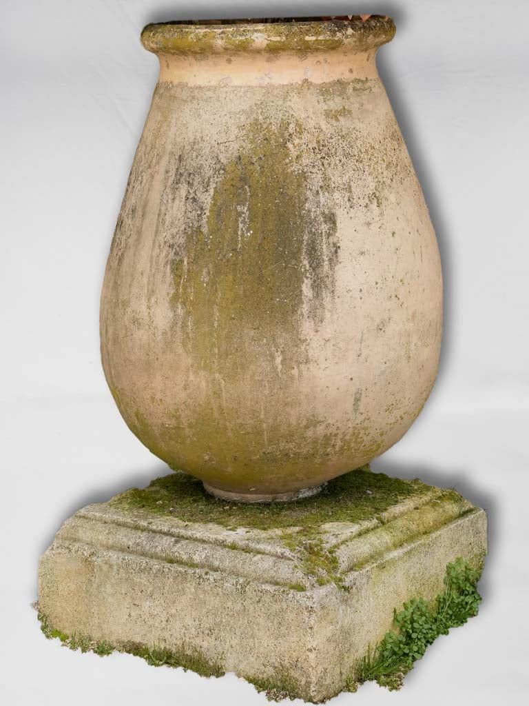 Late-nineteenth-century antique olive jar