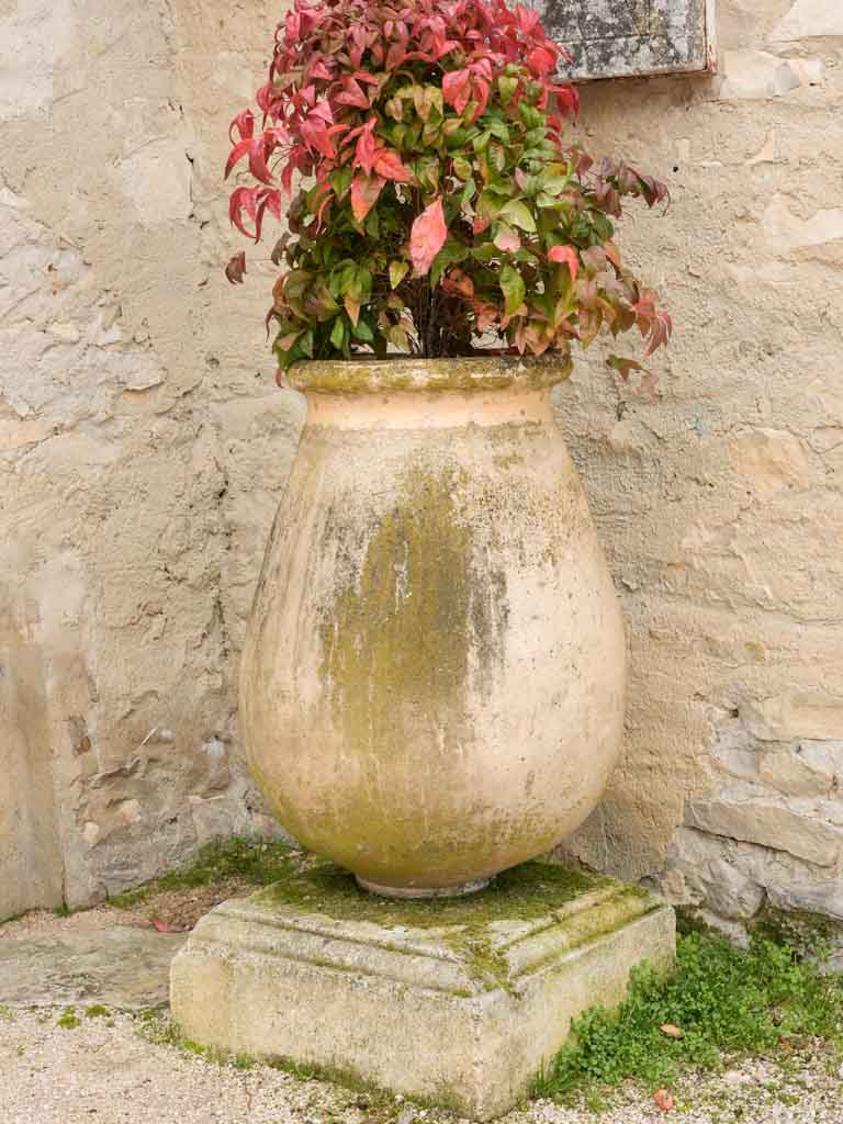 Coastal French ceramic olive jar