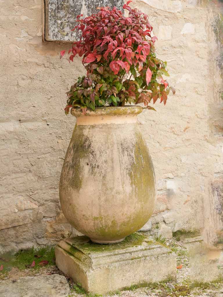 Pedestal olive jar with antique charm