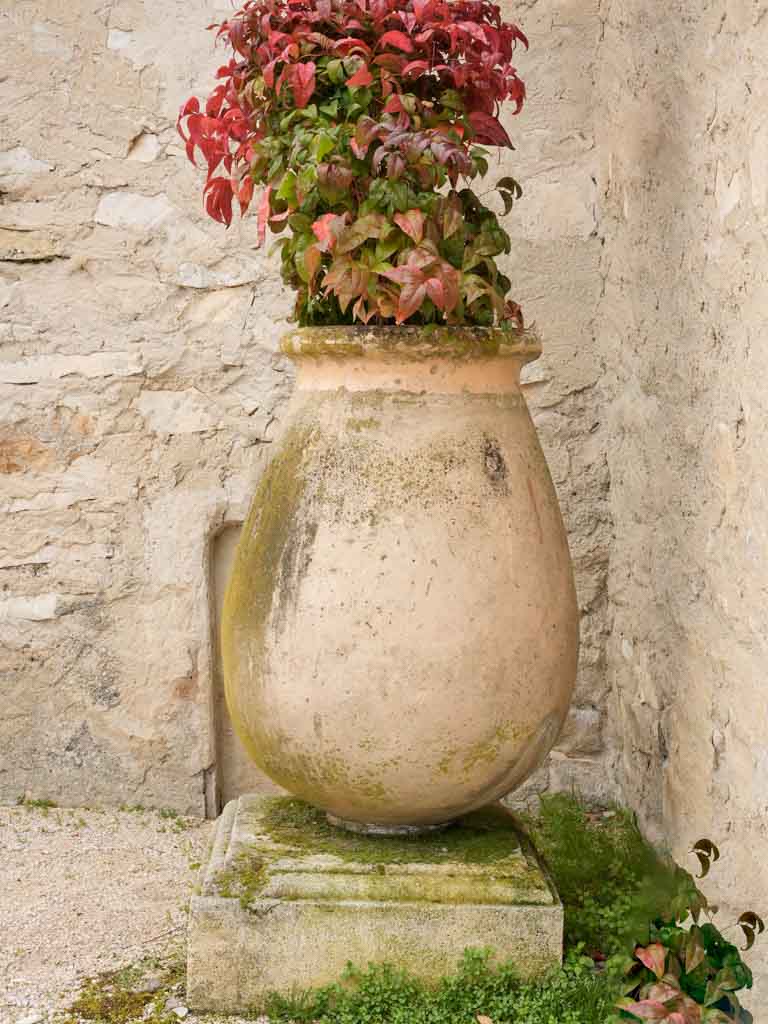 Weathered French olive jar relic