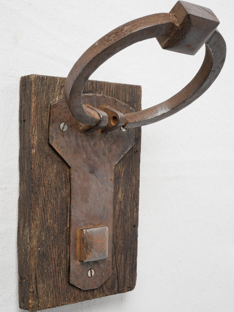 Ornate hand-forged iron door accent  