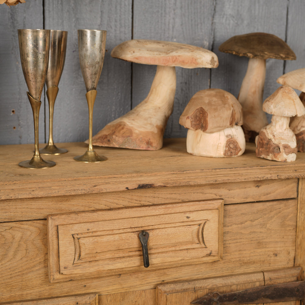 Contemporary Wooden Mushroom Collection