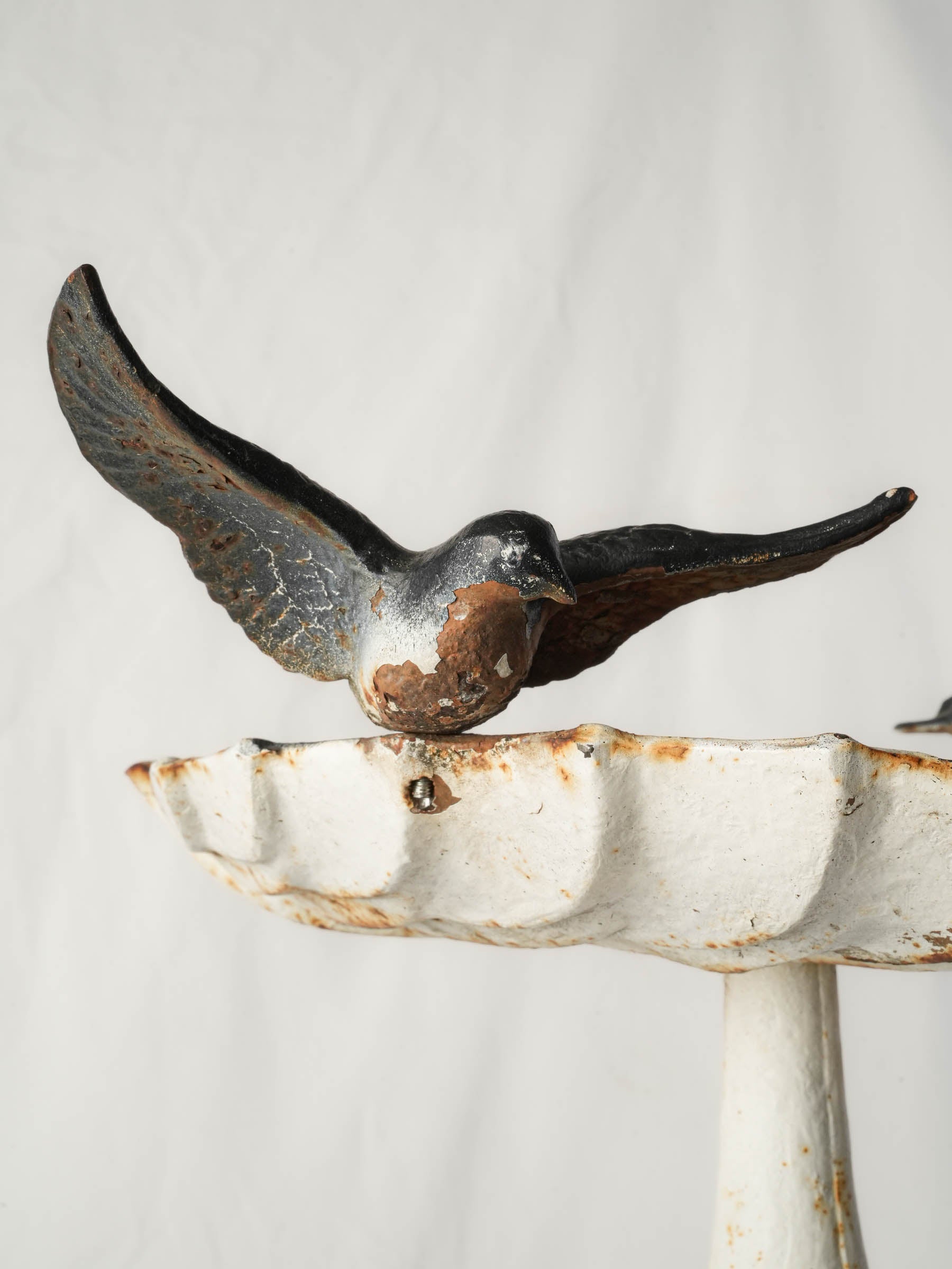 Timeworn vintage cast-iron birdbath